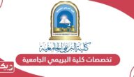 تخصصات كلية البريمي الجامعية